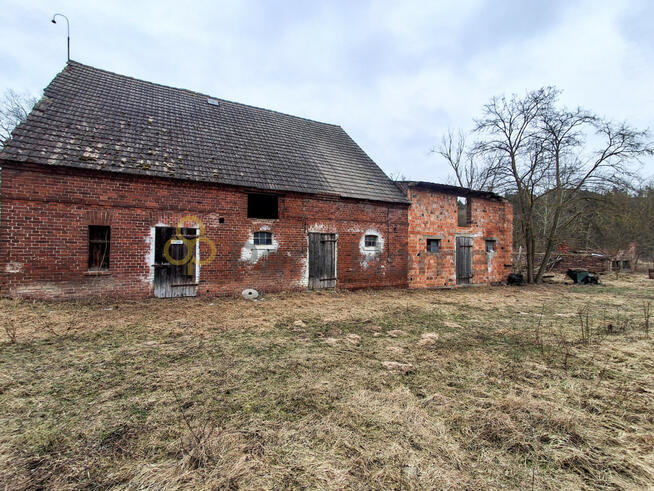 Działka siedliskowa Gębice gm. Trzebiechów,