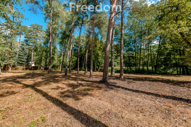 Malownicza działka z WZ na dom i staw, 1,02 ha