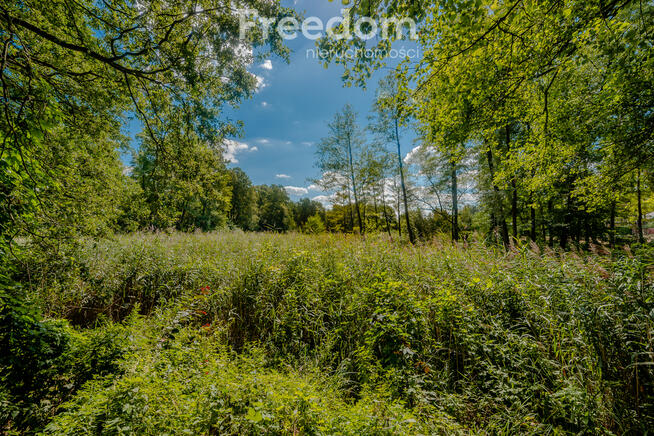 Malownicza działka z WZ na dom i staw, 1,02 ha