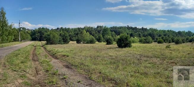 Działka budowlana Jeżewice gm. Łabiszyn