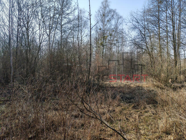 Działka budowlana Adamowizna gm. Grodzisk Mazowiecki,