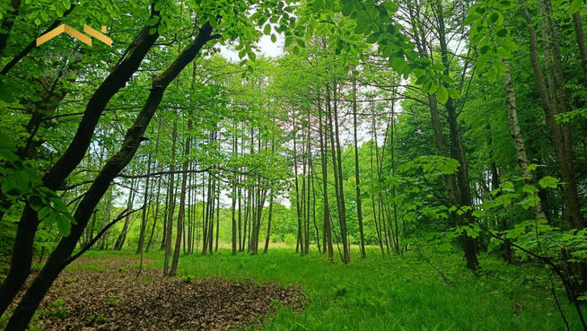 Działka budowlana Rudno gm. Krzeszowice Borki,