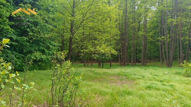 Działka budowlana Rudno gm. Krzeszowice Borki,