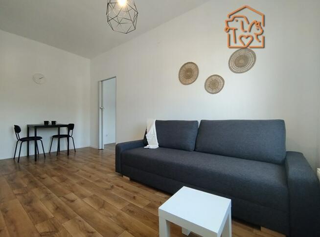 2 pokoje przyjazne zwierzętom, Armii Krajowej 85