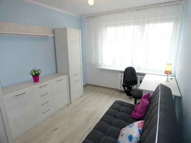 11 listopada 161, Klimontów, jasne 2 pokoje