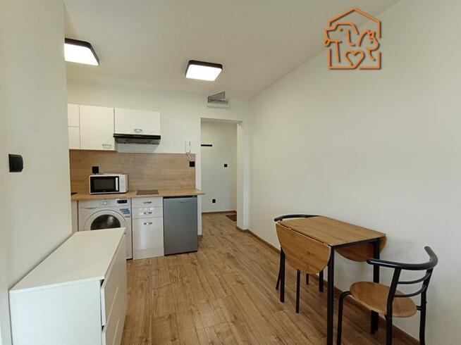 2 pokoje przyjazne dla zwierząt, Roosevelta 3