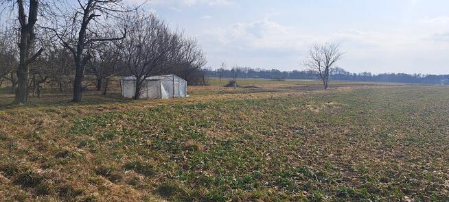 Radawiec Mały. Działka z projektem i pozwoleniem.