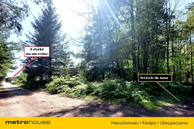 5 działek tuż przy lesie na sprzedaż