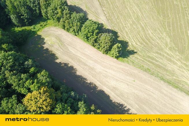 Działka pod lasem, cena do negocjacji!