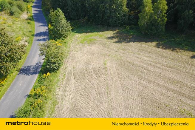 Działka pod lasem, cena do negocjacji!