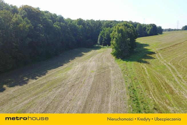 Działka pod lasem, cena do negocjacji!