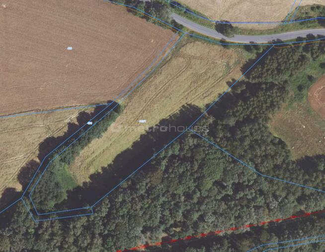 Działka pod lasem, cena do negocjacji!