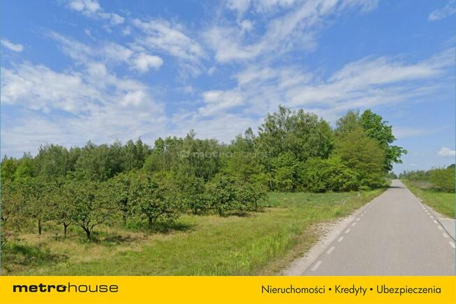 Działka siedliskowa 1,1 ha blisko trasy S8