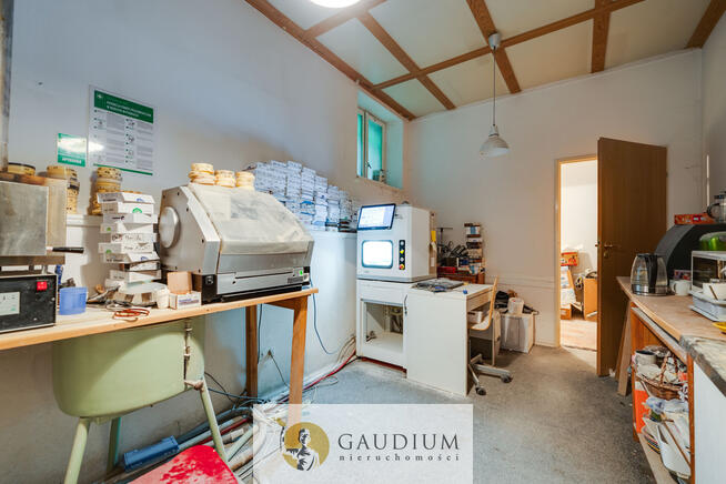 Kameralny lokal do wynajęcia