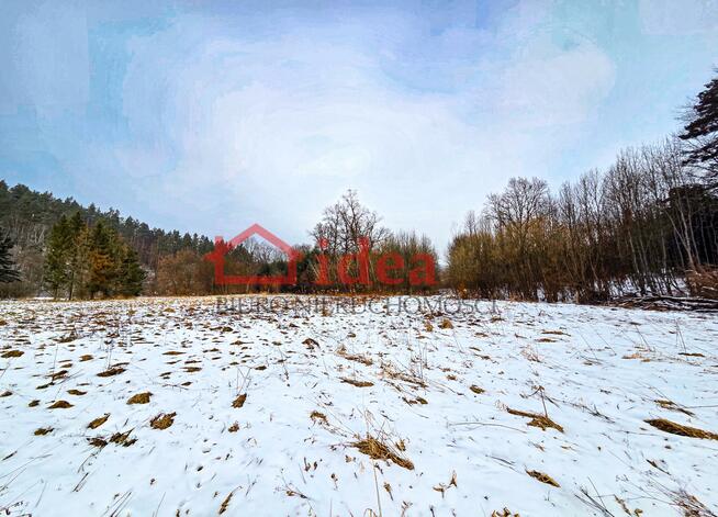 Działka budowlana gm. Dydnia