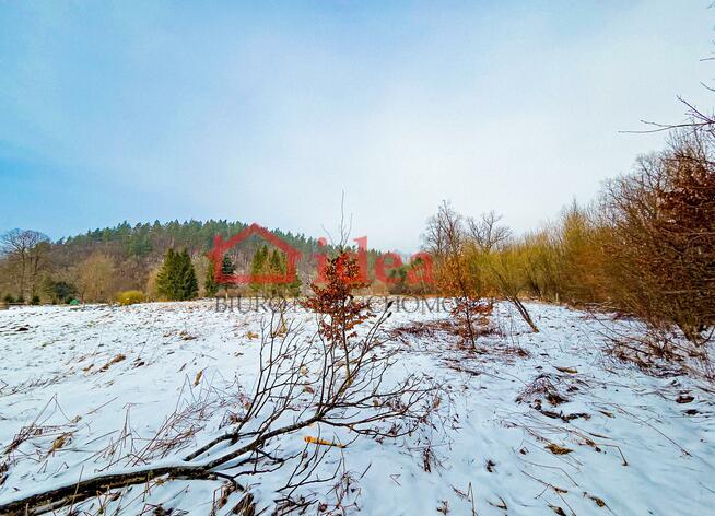 Działka budowlana gm. Dydnia