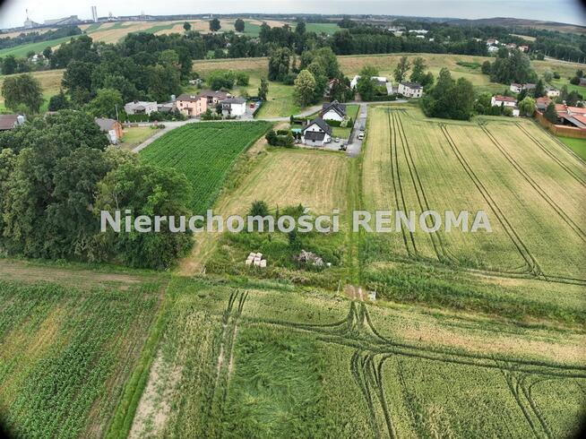 Działka Krzyżowice gm. Pawłowice, Szkolna