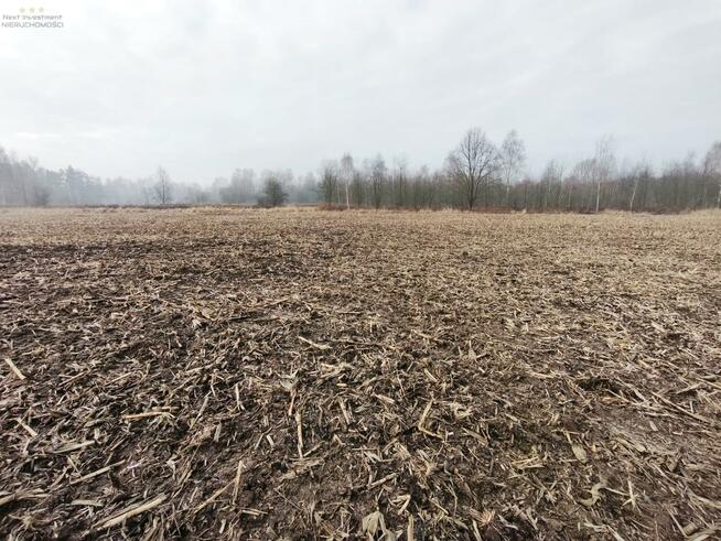 Działka budowlana Pyskowice, Wiejska
