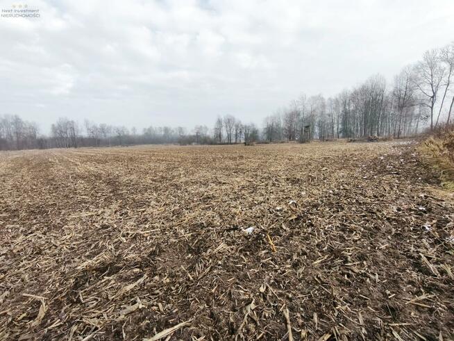 Działka budowlana Pyskowice, Wiejska