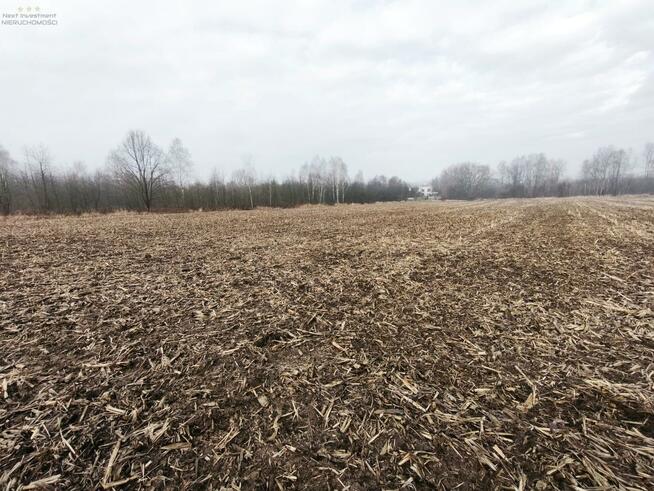 Działka budowlana Pyskowice, Wiejska