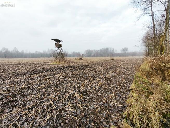 Działka budowlana Pyskowice, Wiejska