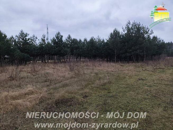 Dom Zboiska gm. Radziejowice