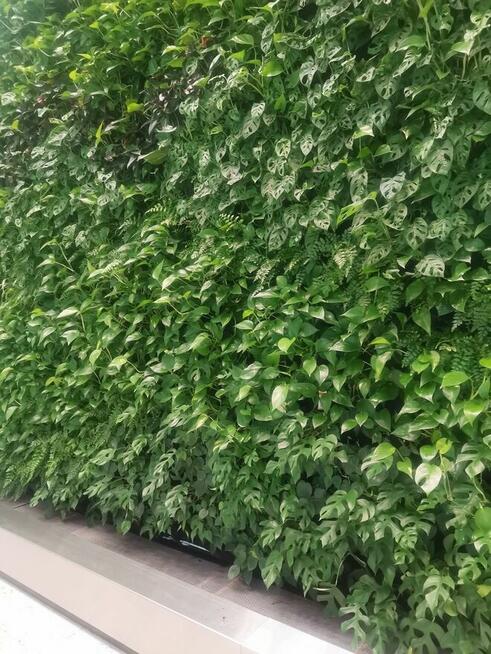 Ogrodnik, Serwis roślin