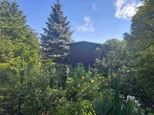 Działka ROD na Alei Pokoju 70m2 Kluczbork