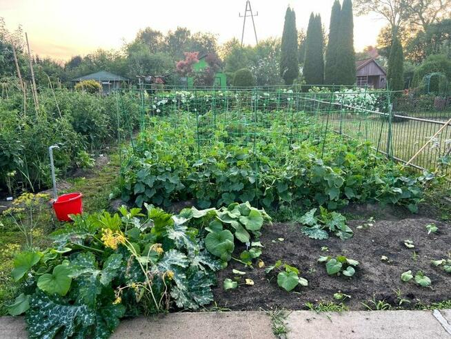 Działka rekreacyjna ROD im. 27 Lipca Białystok przy 42 Pułku