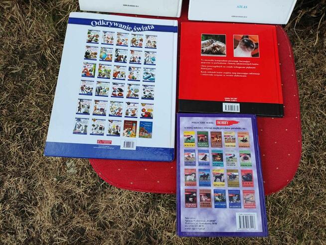 Książka Psy Koty Kocięta Poradnik Rasy Akwarium Ryby atlas