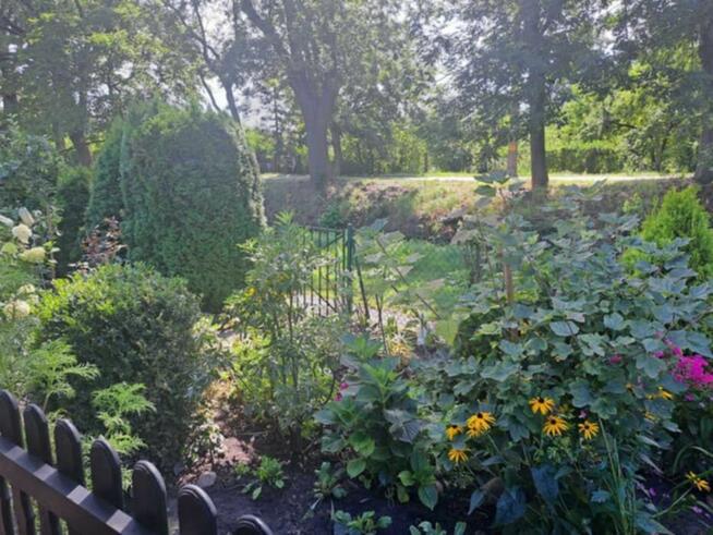 Działka ROD na Alei Pokoju 70m2 Kluczbork