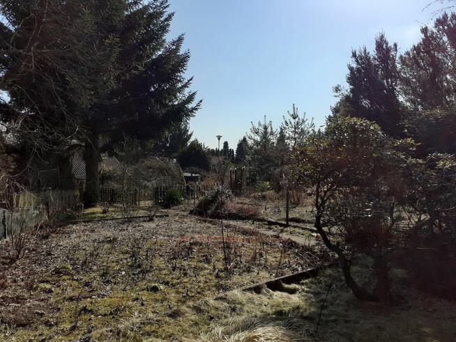 Działka ROD w Balicach