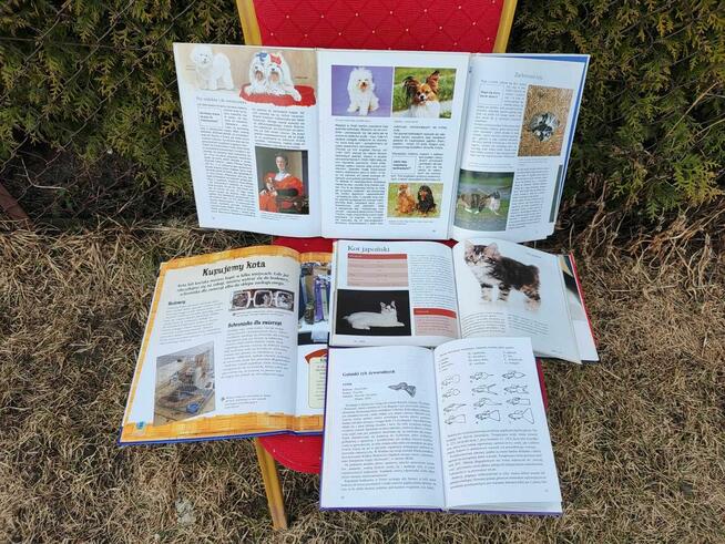 Książka Psy Koty Kocięta Poradnik Rasy Akwarium Ryby atlas