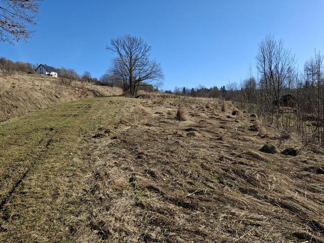 Działka w Beskidzie Niskim z widokiem na górę Cergową
