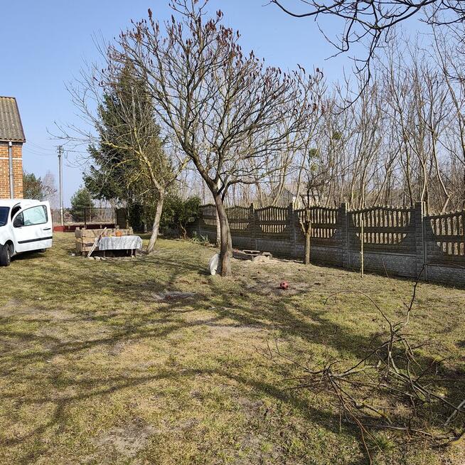 Zaopiekuję się Twoim psem, zamieszka ze mną w domu :)