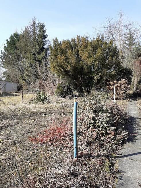 Działka ROD w Balicach