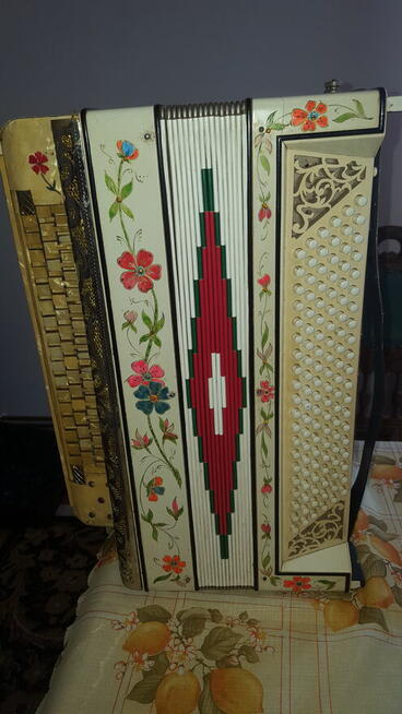 akordeon harmonia zabytkowa pedałowa 120 basów