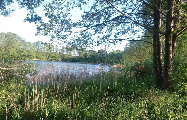 Grunt rolny z linia brzegowa jeziora Kosewskiego