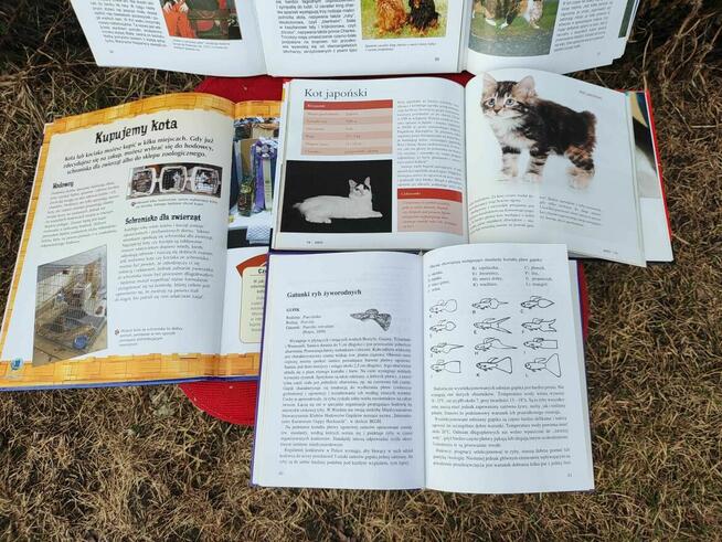 Książka Psy Koty Kocięta Poradnik Rasy Akwarium Ryby atlas