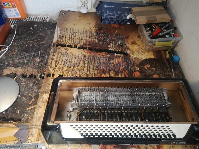 Strojenie i Naprawa Akordeonów w Kuj. Pomorskim