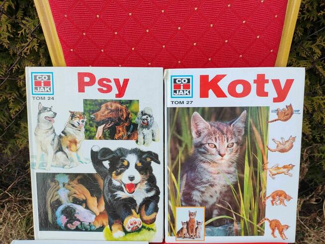 Książka Psy Koty Kocięta Poradnik Rasy Akwarium Ryby atlas