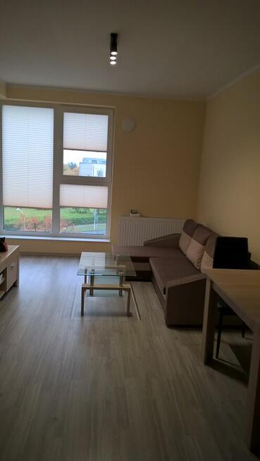 Mam na wynajem mieszkanie Krakowska 31 Rzeszów