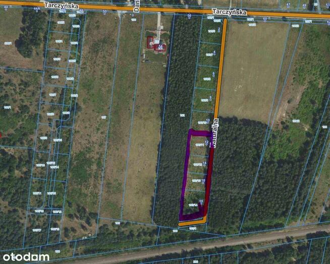 Działka z POZWOLENIEM na BUDOWĘ i PROJEKTEM 2 DOMY po 88m2