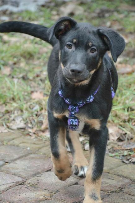 Cudna, kochana ok 4 mies sunia prosi o dom