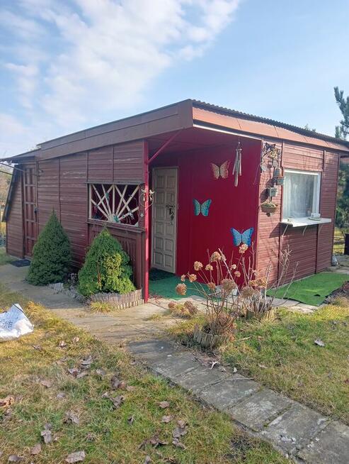 Sprzedam działkę rekreacyjną w Kutnie ROD Grunwald.Polecam!!