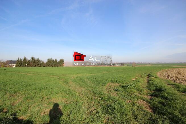 Działka budowlana Żarów, Bliskie okolice Żarowa