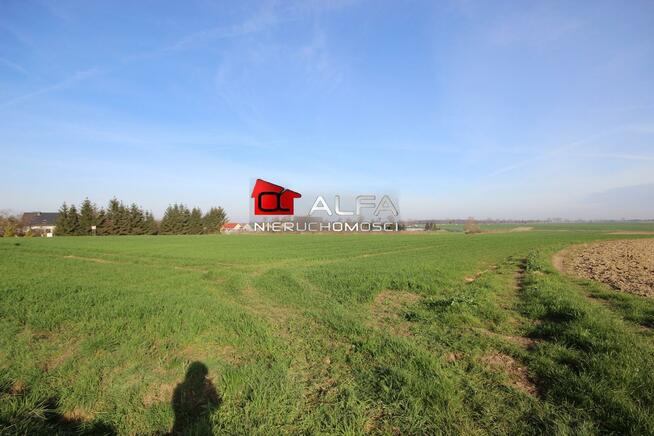 Działka budowlana Żarów