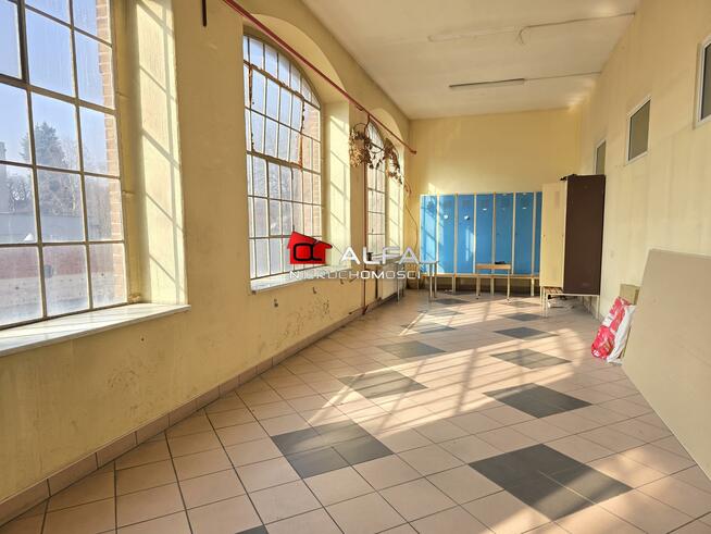 Lokal użytkowy Świdnica