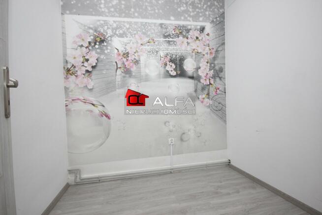 Lokal użytkowy Świdnica