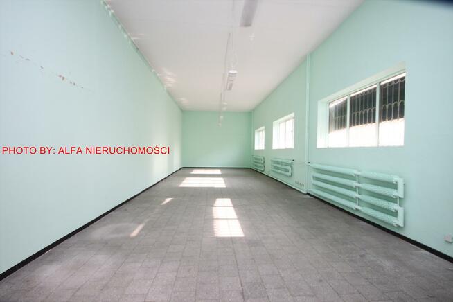 Lokal użytkowy Świdnica